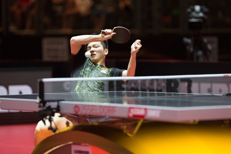 Dort wird Fan Zhendong am Samstag sein Gegner sein. (©Fabig)