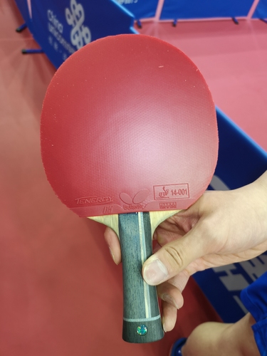Auf der Rückhand klebt ein Tenergy 05. (©Gohlke)
