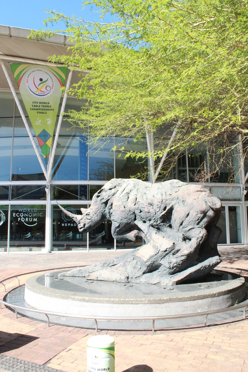Südafrika ist das Land, in dem aktuell die meisten Nashörner leben. Kein Wunder, dass uns ein Exemplar vor dem Durban ICC empfängt (©Schäbitz)